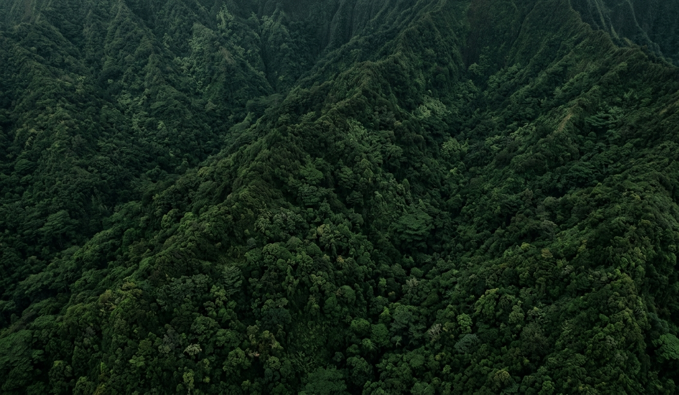 Dense aerial foliage background